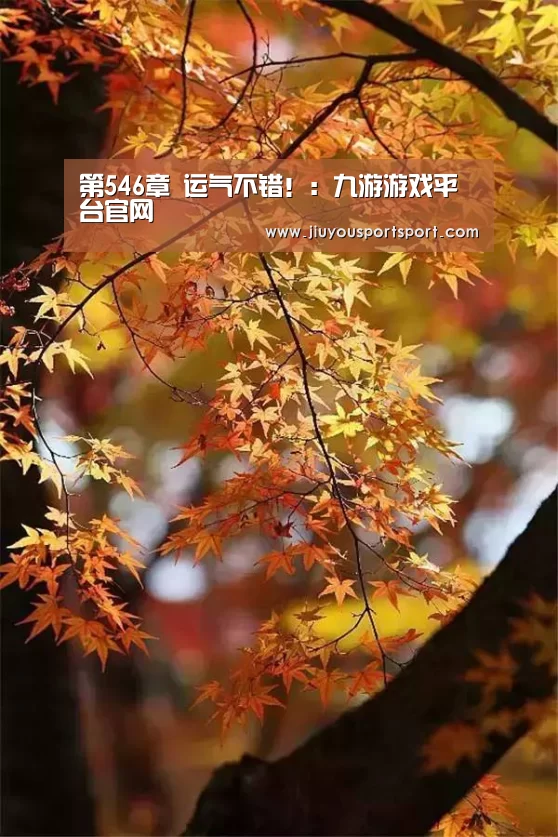 第546章 运气不错!:九游游戏平台官网(图3) 九游官方网站手机版