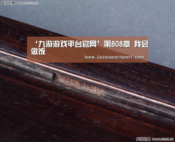 ‘九游游戏平台官网’第808章 我会做饭(图3) 九游官网下载