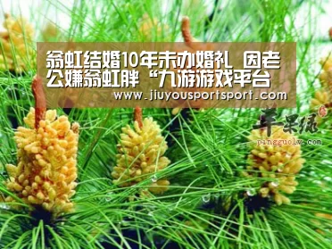 翁虹结婚10年未办婚礼 因老公嫌翁虹胖“九游游戏平台官网”(图2) 九游官方网站手机版