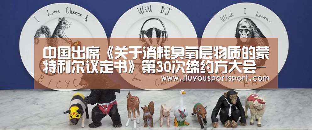中国出席《关于消耗臭氧层物质的蒙特利尔议定书》第30次缔约方大会-九游游戏平台官网(图1) 九游官网下载