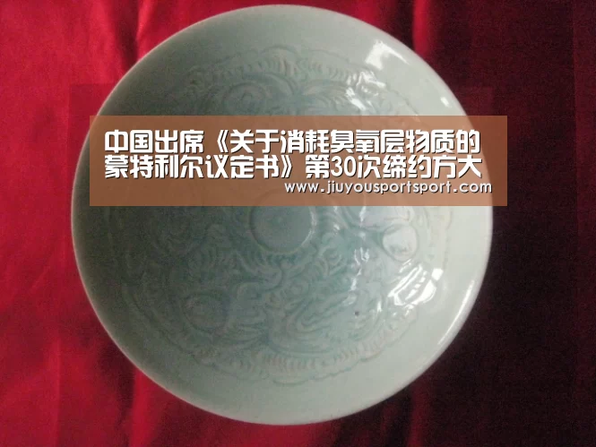 中国出席《关于消耗臭氧层物质的蒙特利尔议定书》第30次缔约方大会-九游游戏平台官网(图3) 九游游戏平台官网