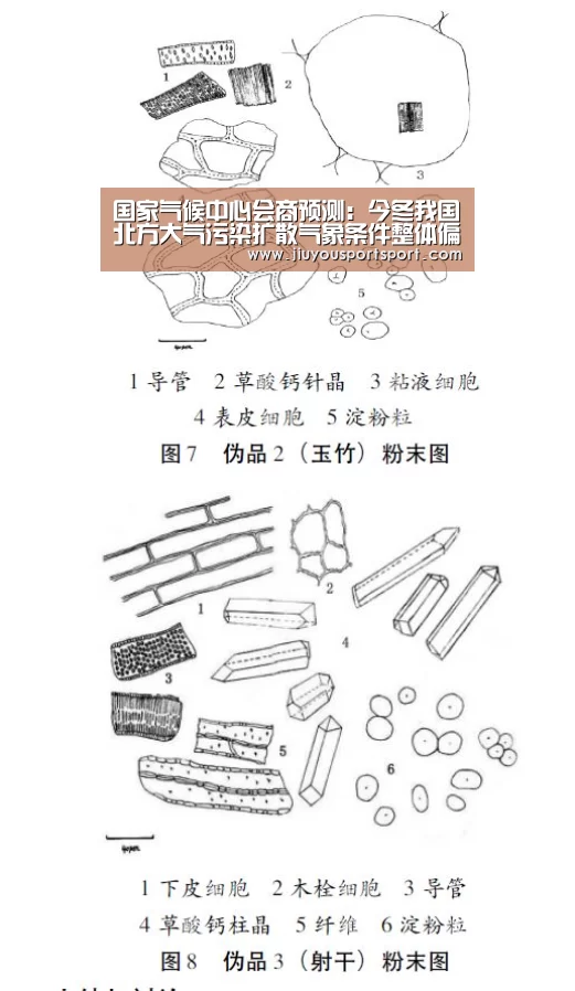 国家气候中心会商预测:今冬我国北方大气污染扩散气象条件整体偏差-九游官方网站手机版(图3) 九游官网下载