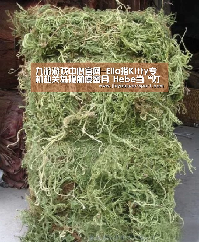 九游游戏中心官网-Ella搭Kitty专机赴关岛提前度蜜月 Hebe当“灯泡”(图1) 九游游戏平台官网