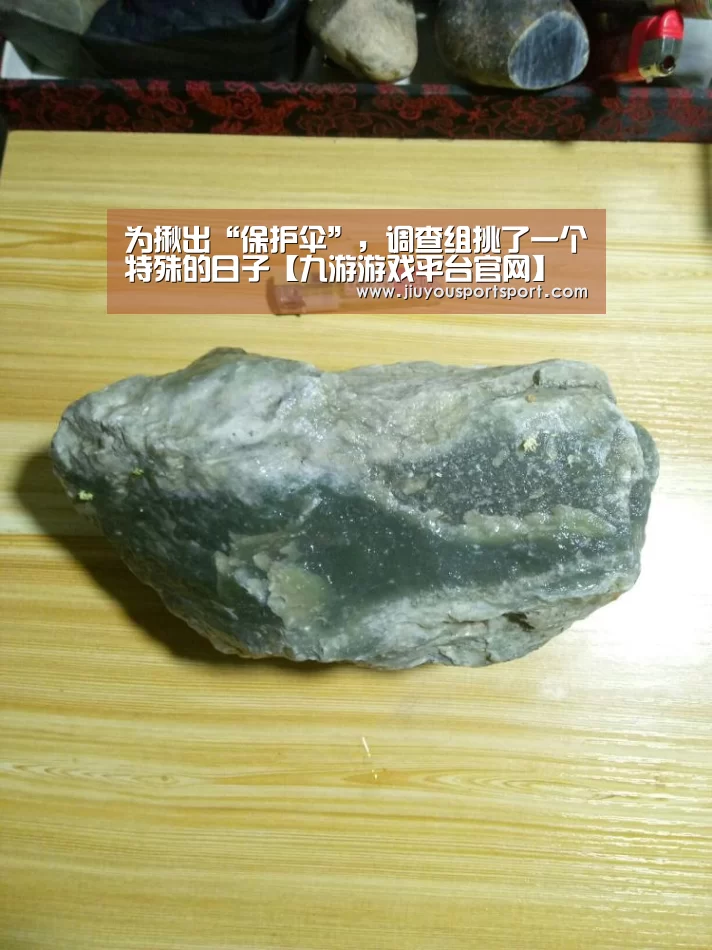 为揪出“保护伞”,调查组挑了一个特殊的日子【九游游戏平台官网】(图1) 九游官方网站手机版