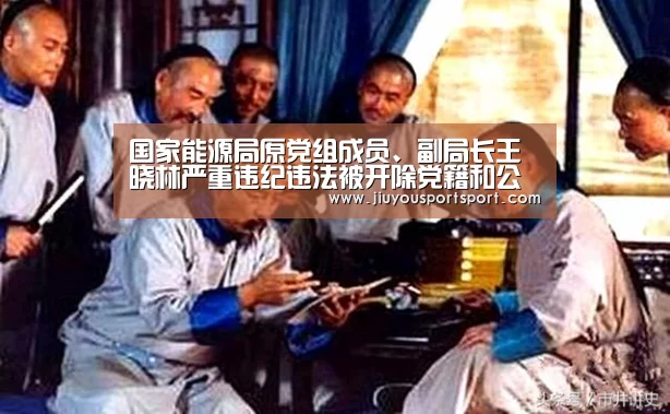 国家能源局原党组成员、副局长王晓林严重违纪违法被开除党籍和公职_九游官方网站手机版(图1) 九游官方网站手机版