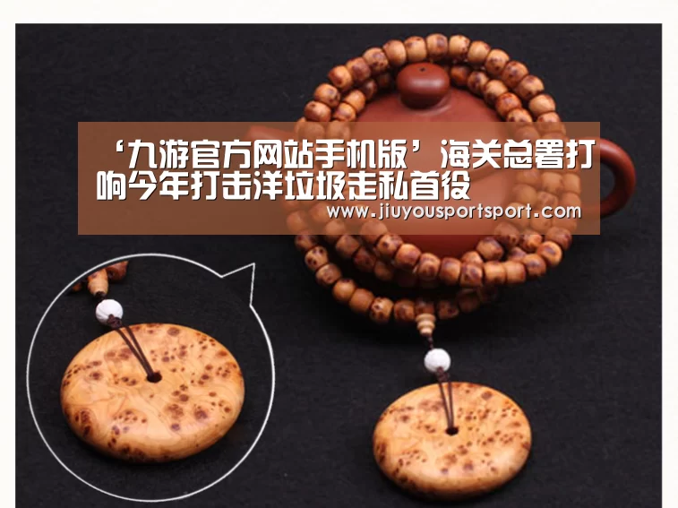 ‘九游官方网站手机版’海关总署打响今年打击洋垃圾走私首役(图2) 九游游戏中心官网