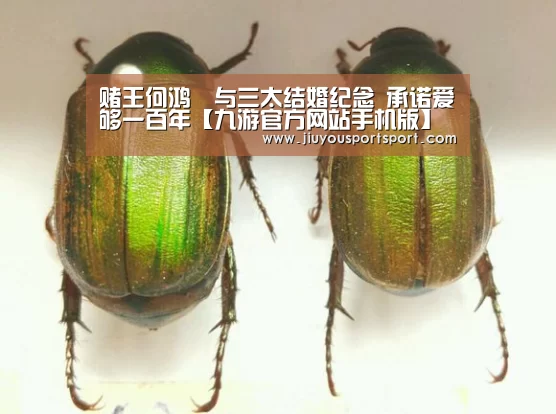 九游官方网站手机版